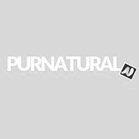 Logo Purnatural
