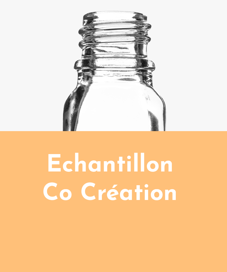 echantillon-co-creation