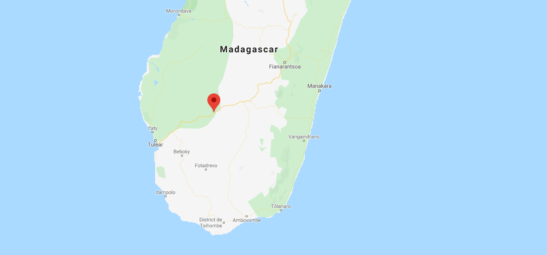 Région de culture du Moringa dans le Sud Ouest de Madagascar, du côté d'Ilakaka